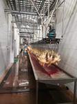 SS 304 Poultry Defeathering Equipment Halal Automatic Chicken Slaughtering