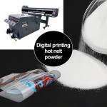 1kg 5kg 20kg DTF Heat Transfer Printing Powder Hot Melt Adhesive Tpu Powder