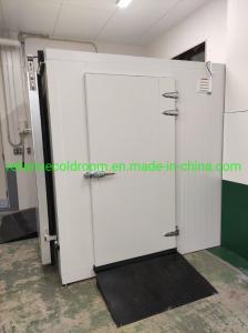 Quality 30/20/10 Cubic Meters Direct Cooling Cold Storage Room for Fish Meat Vegetables Fruit wholesale
