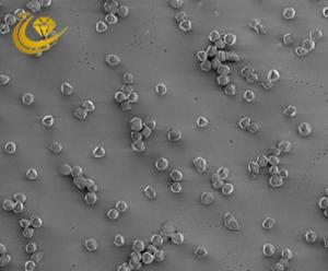 Quality High Strength Diamond Micron Powder For Grinding Good Wear Resistance wholesale