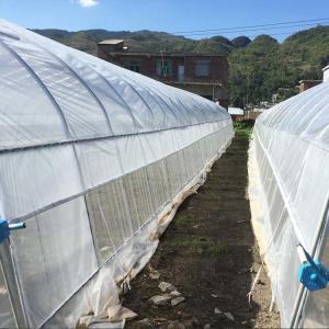 Quality Small Pvc Material Plastic Film Greenhouse Industrial Hydroponic wholesale