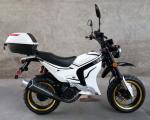 59miles / H High Powered Motorcycles 150cc 4 Stroke With Single Cylinder