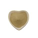 Special Aromatic Free Amino Acid 80 Powder Light Brown Protein Hydrolysates