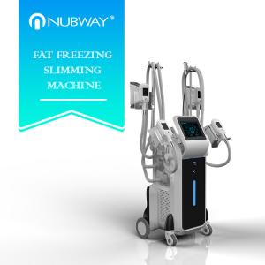 Quality Wholesale price best result Cryo technology 4 Cryo heads slimming machine wholesale