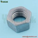 Hex Nut