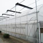 Multi Span Agricultural / Commercial Hydrophonic Greenhouse Easily Installed