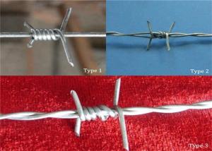 Quality 16*16 Double Strand Barbed Wire Coil For Security Fence , High Tensile wholesale