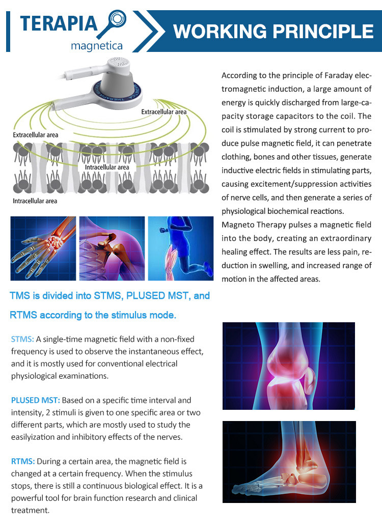 685nm 830nm Pulsed Electromagnetic Field Therapy Equipment 50W For shoulder / neck / waist pain