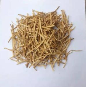 Quality Dry Cool Place Storage Air Dried Vegetables Air Dried Burdock Strips 15kg / Carton wholesale