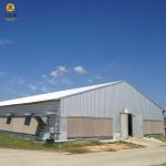 Large Scale Steel Structure Poultry House Construction Q235 Q235B Q345 S355