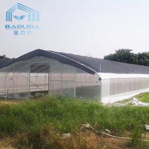 Quality Invernadero Gothic Arch Single Span Greenhouse Galvanized 48mm Pipe Width 26ft wholesale