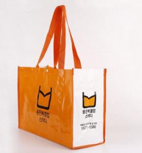 Quality PP Woven Plastic Shopping Bag wholesale