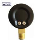 High quality with competitive price CE EN837-1 water air 1psi (0 - 600 Psi) Npt