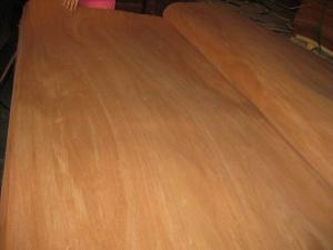 Quality Rotary Cut/Peeled Red Canarium Wood Veneer Sheet wholesale