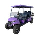 2 4 6 8 Seater Comfort 48v 5kw Low Speed Vehicle Street Legal Electric Golf