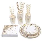 Birthday Party 100 Biodegradable Bronzing Dots Disposable Dishware
