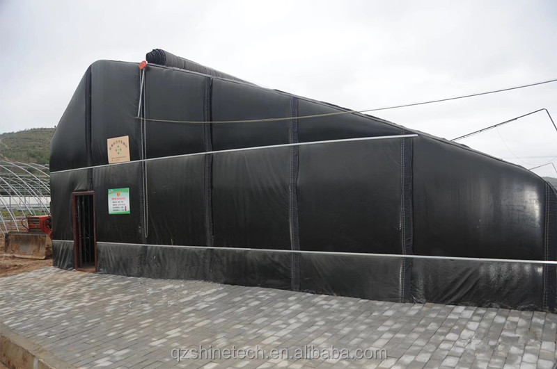 Single Span Agricultural Greenhouses Durable For Winter Vegetable Production