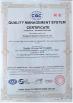 Dongguan Qingying Industry Co., Ltd. Certifications