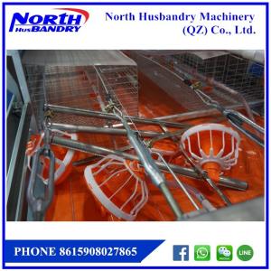 Quality RNI Kembangkan Peternakan Unggas Terintegrasi Berbasis Riset wholesale