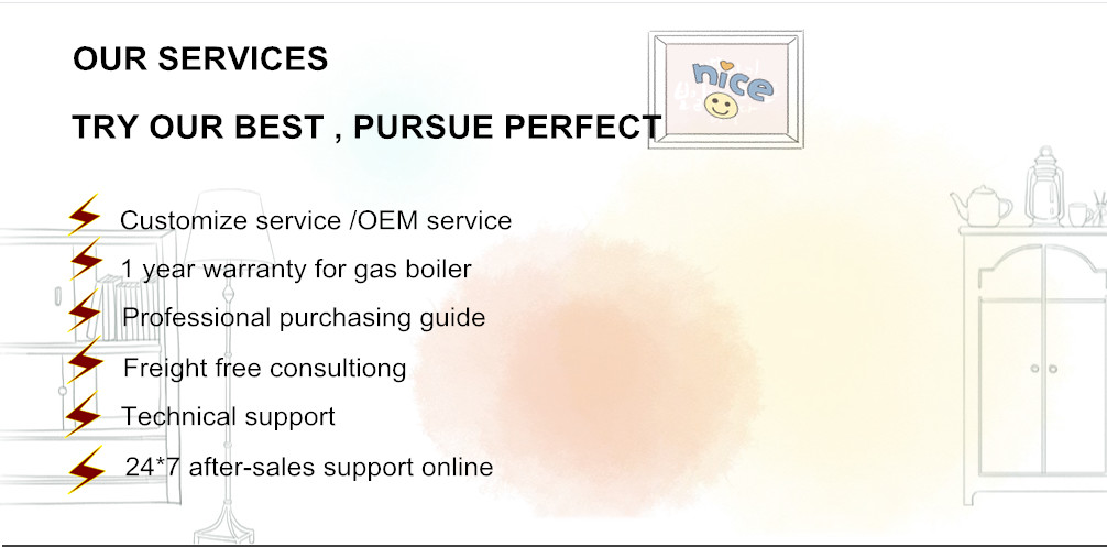 Low Nitrogen Combustion Wall Hung Gas Boiler For Hot Water