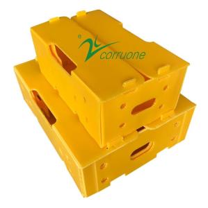 Quality Reusable Vegetable Corrugated Boxes 2mm-11mm Thickness Yellow Green wholesale