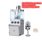ZP17E Oval Customized Shape Automatic Tablet Press Machine 40800pcs/H