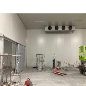 Quality prefabricated Modular cold storage for chicken meat and fresh fruits vegetable wholesale