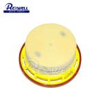 Rexwell Car Auto Part Fuel Filter 23390-51070 For TOYOTA 2339051070 Standard