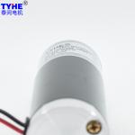 30v 36v 20kg Load 8mm Shaft High Torque Dc Motor 37mm 100rpm 120rpm