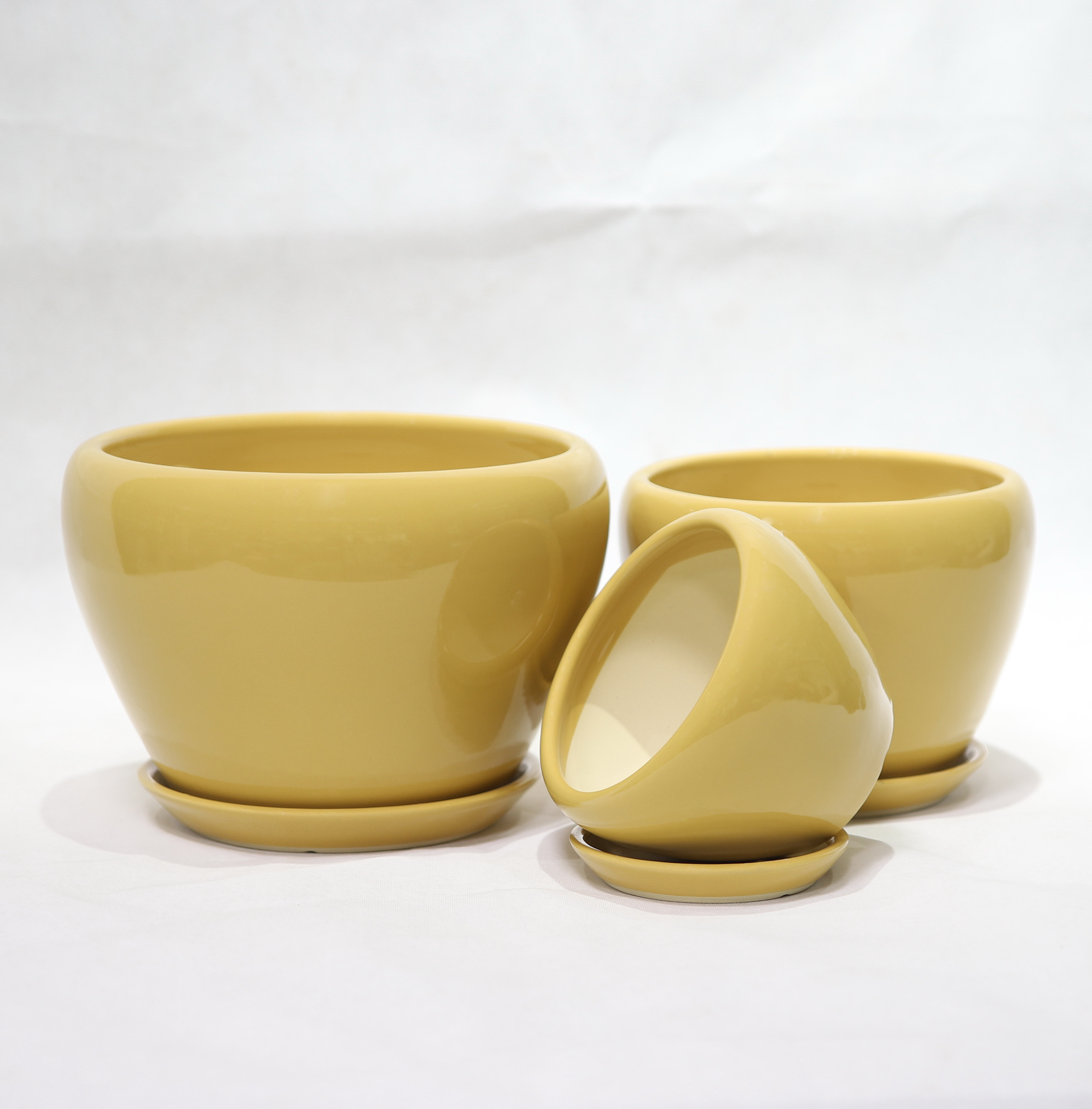 Stylish And Functional Ceramic Pots Perfect For Any Plant And Any Space