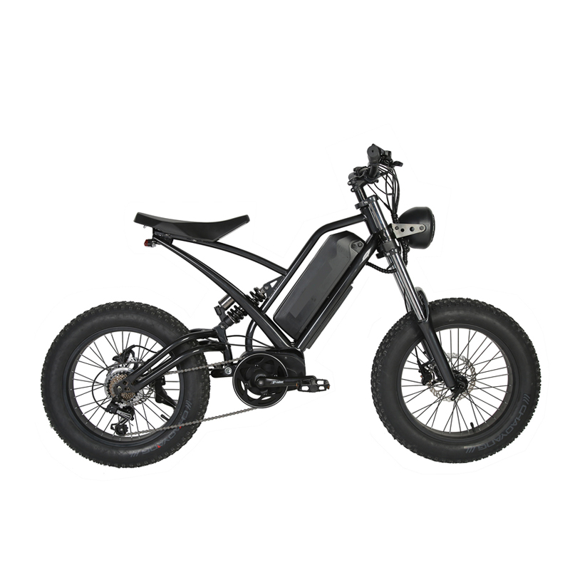 LCD Display 20" Mid Drive Electric Bike with 48v 750w Motor and Customized Fat Tire
