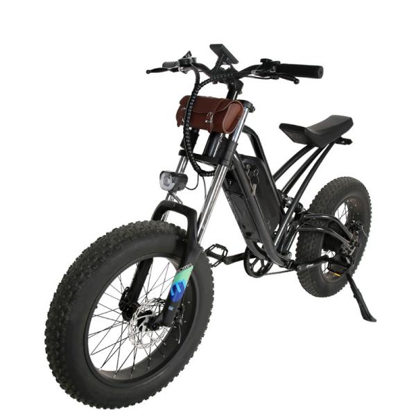 DOMANCA 750W High Speed Dirt Bike Off-road Fat Tire Ebike Customized E Bike