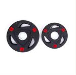 Rubber Coated Weight Plate Set of 2 for Fitness and Exercise Equipment