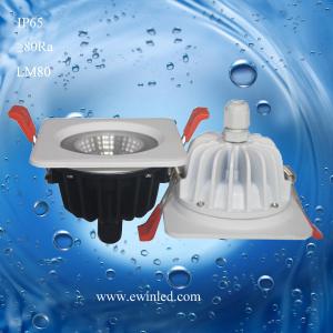Quality AC110V Aluminum Housing IP65 waterproof led downlights 10W wholesale