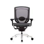 Deluxe Marrit X Back Support Ergonomic Chair 4D Armrest 19.5KG