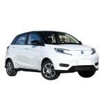 EVH Car Energy Vehicle EV HOUSE YOUNG LIGHT XIAOXIN Pure Electric Big Sale
