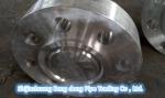 WN Flange , RF