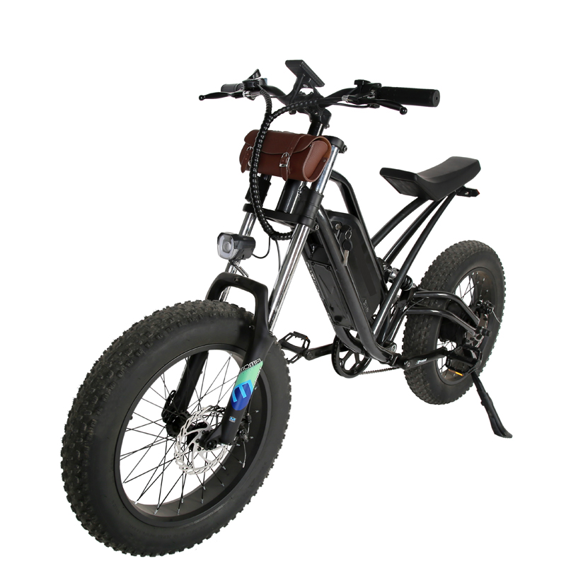 DOMANCA 750W High Speed Dirt Bike Off-road Fat Tire Ebike Customized E Bike Motorcycle
