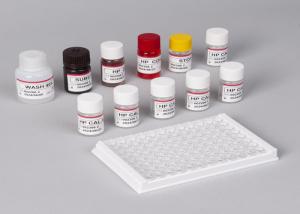 Quality 25-Hydroxyvitamin D Total Elisa Test Kit For Laboratory Or Hospital Use wholesale