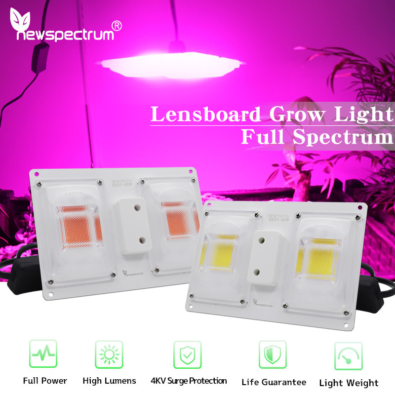 Energy Saving Full Spectrum Led Grow Lights Board 50W Voltage 110V