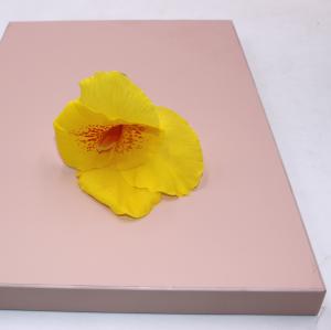 Quality 18mm Wardrobe Matte PET Laminated MDF Panels wholesale