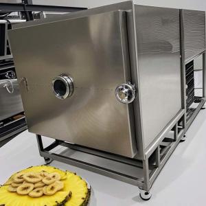Quality Freeze Dried Fruit Freeze Dryer Lyophilizer 200KG 100KG 50KG Capacity wholesale