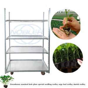 Quality 10L Capacity Danish Container Freezer / Dishwasher Safe wholesale