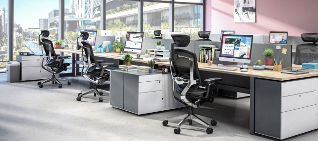 Gtchair Marrit Computer Desk Chair Adjustable High Back Ergonomic Office Chair