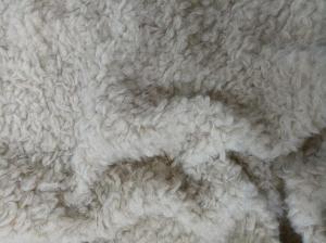 Quality Curled Warp Knitted Soft Plush 380gsm 100% P wholesale
