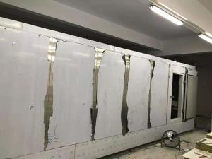 Quality 250kg/H Blast Tunnel Freezer wholesale