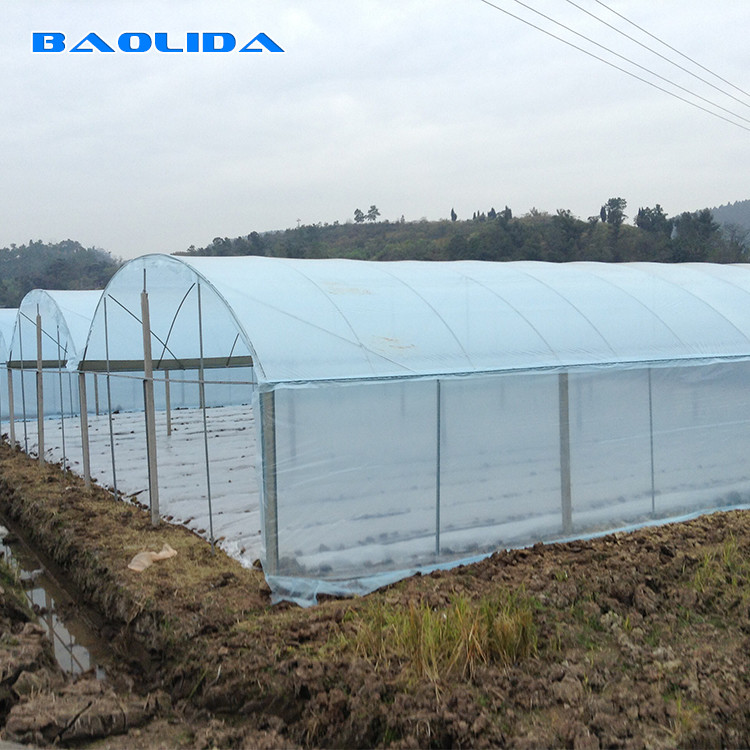 150 Micron PE Film Agricultural Greenhouse For Vegetable Fruit Growing