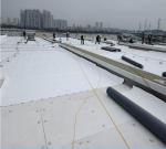 Polyester Fabric Reinforced PVC Sheet Waterproof Membrane Customized
