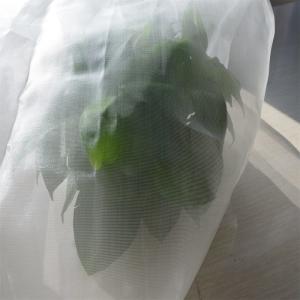 Quality HDPE UV Plastic Greenhouse Cover Material 40/50/60mesh Resistance Greenhouse Insect Net For Vegetable wholesale