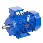 Gost Standard motor